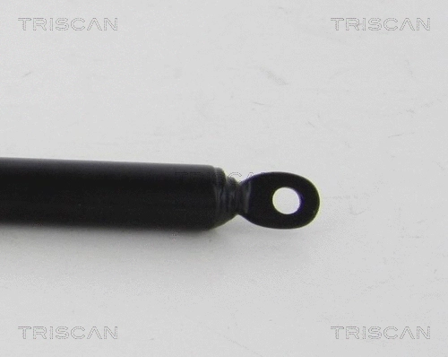 Gas Spring, rear window