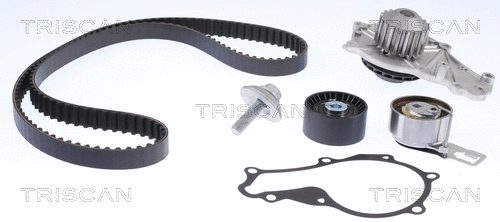Water Pump & Timing Belt Kit (8647 100522)