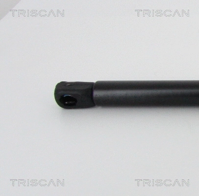 Gas Spring, bonnet