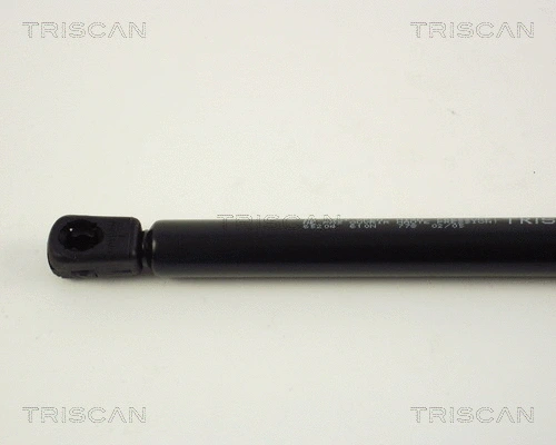 Gas Spring, boot/cargo area