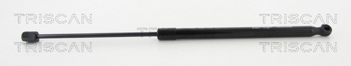 Gas Spring, boot/cargo area