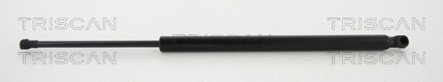 Gas Spring, boot/cargo area