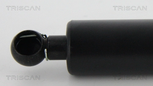 Gas Spring, boot/cargo area