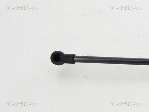Gas Spring, boot/cargo area