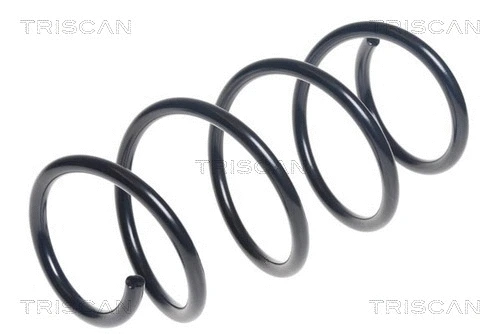 Suspension Spring (8750 29408)