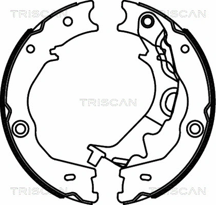 Brake Shoe Set, parking brake (8100 18014)
