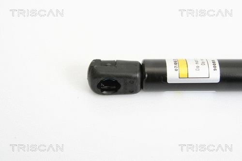 Gas Spring, boot/cargo area