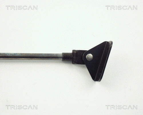 Gas Spring, boot/cargo area
