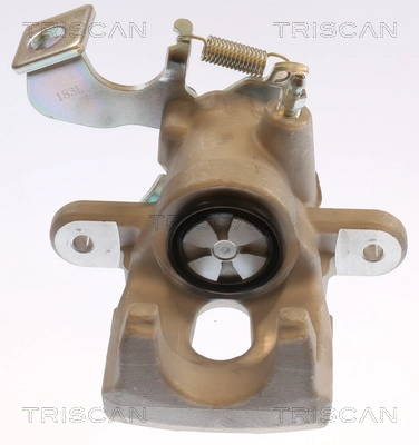 Brake Caliper (8175 13229)