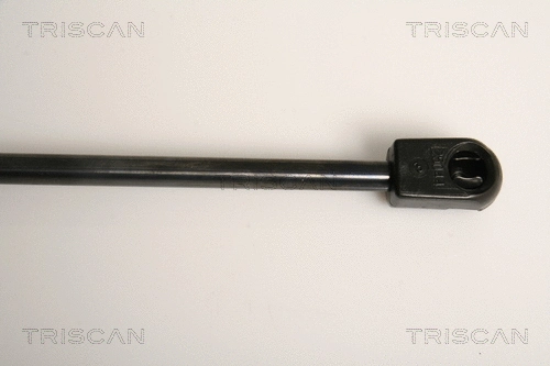 Gas Spring, boot/cargo area