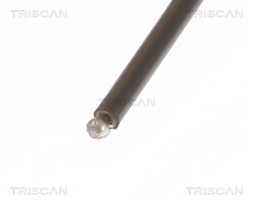 Bonnet Cable