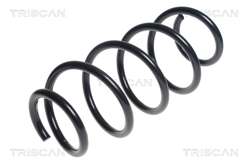 Suspension Spring (8750 23172)