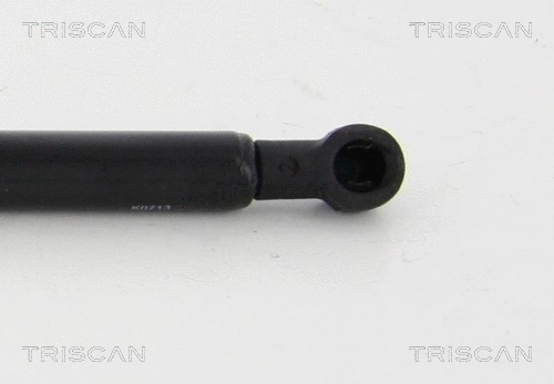 Gas Spring, boot/cargo area