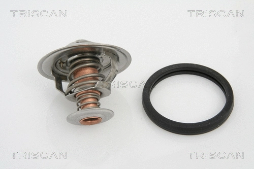 Thermostat, coolant (8620 18491)