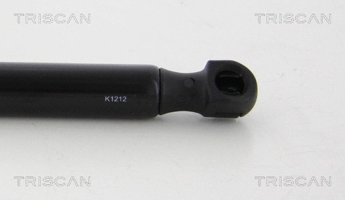 Gas Spring, boot/cargo area (8710 17220)