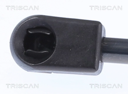 Gas Spring, boot/cargo area