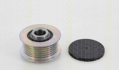 Alternator Freewheel Clutch (8641 164008)