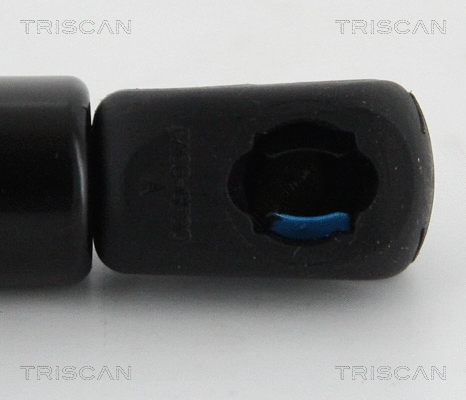 Gas Spring, boot/cargo area