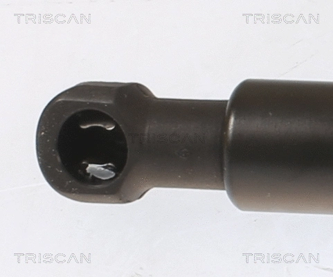 Gas Spring, boot/cargo area