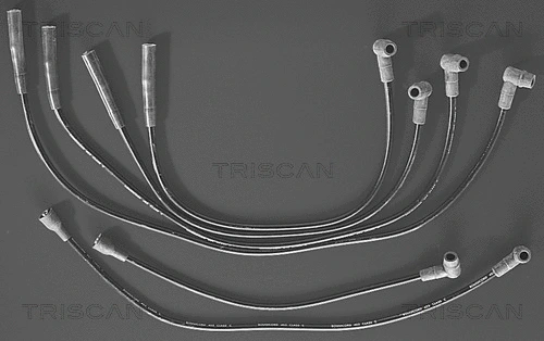 Ignition Cable Kit (8860 4121)