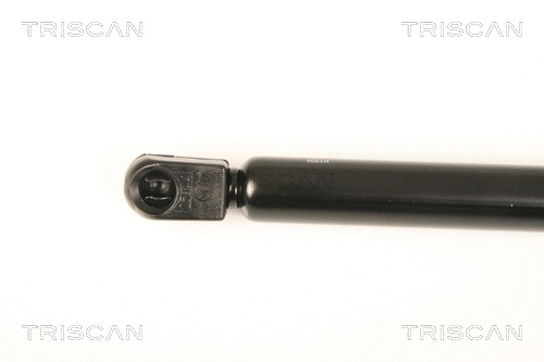 Gas Spring, boot/cargo area