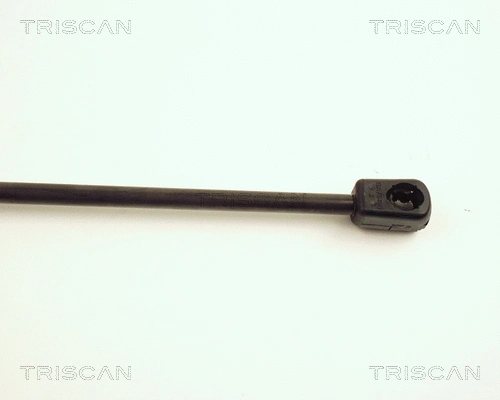 Gas Spring, boot/cargo area