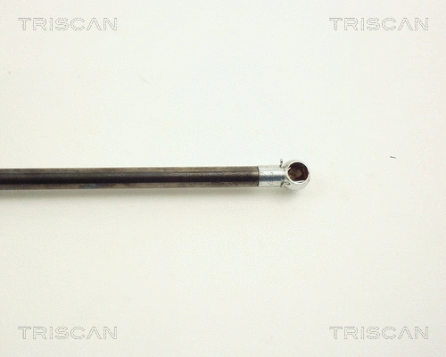 Gas Spring, boot/cargo area