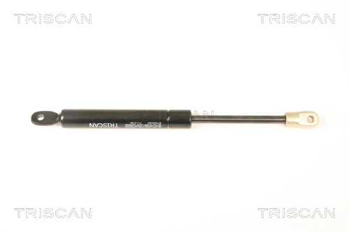 Gas Spring, boot/cargo area (8710 20202)