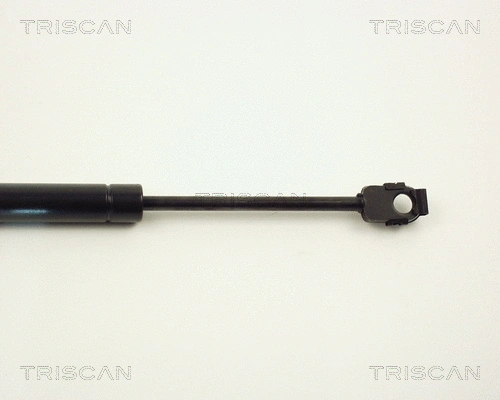 Gas Spring, bonnet