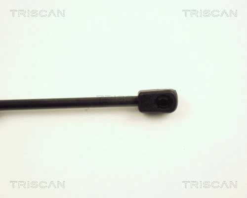 Gas Spring, boot/cargo area