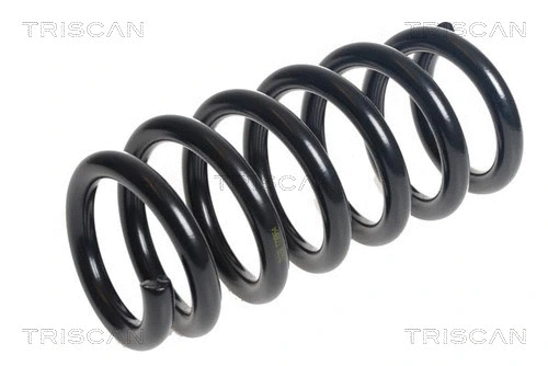 Suspension Spring (8750 16133)