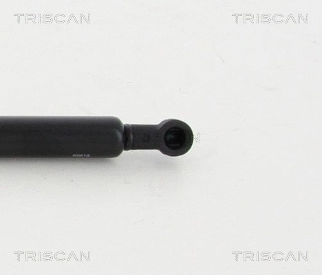 Gas Spring, bonnet