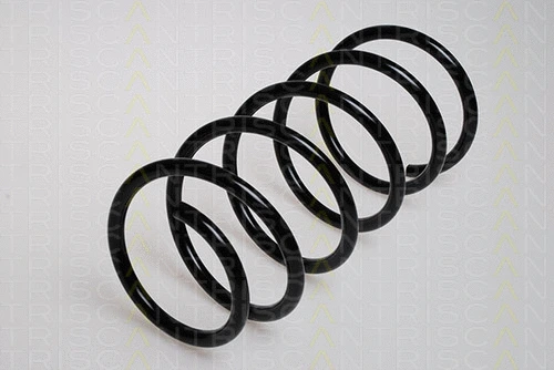 Suspension Spring (8750 2729)