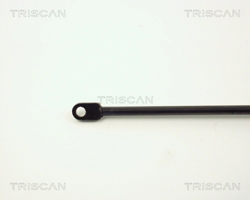 Gas Spring, boot/cargo area