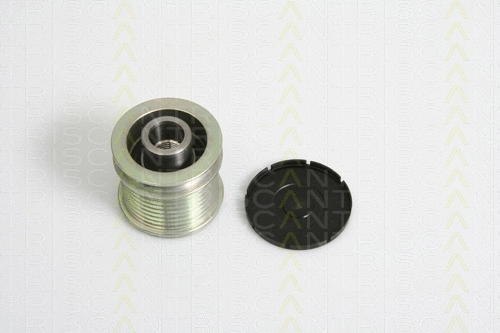 Alternator Freewheel Clutch (8641 234014)