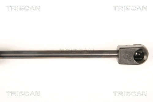 Gas Spring, boot/cargo area