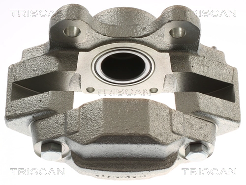 Brake Caliper (8175 17209)