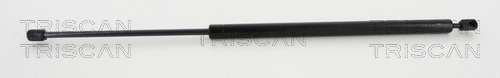 Gas Spring, boot/cargo area (8710 292024)