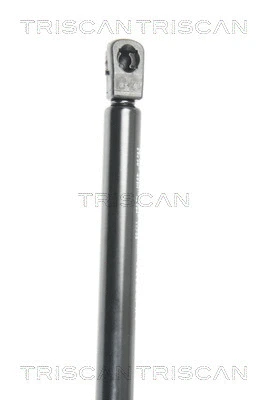 Gas Spring, boot/cargo area