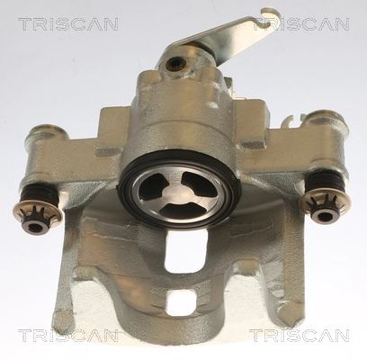 Brake Caliper (8175 15205)