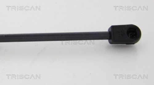 Gas Spring, boot/cargo area