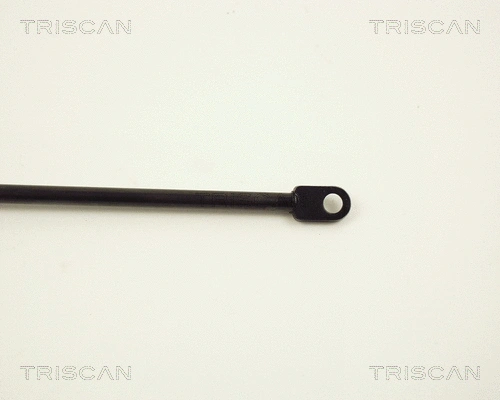 Gas Spring, boot/cargo area