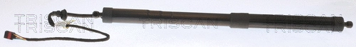 Gas Spring, boot/cargo area (8710 29303)