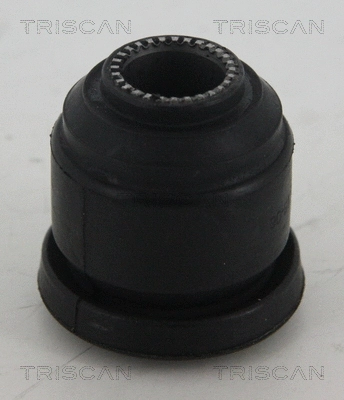 Mounting, control/trailing arm (8500 10869)