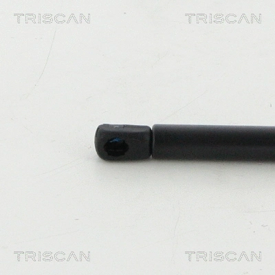 Gas Spring, boot/cargo area
