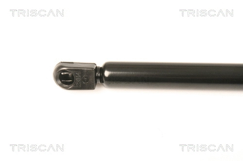 Gas Spring, boot/cargo area