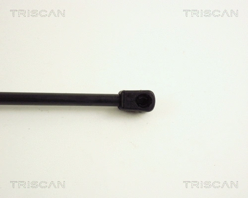 Gas Spring, boot/cargo area