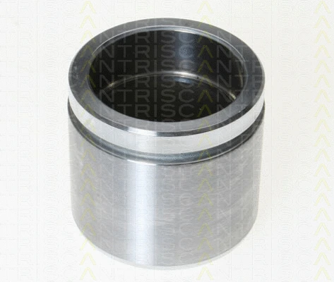 Piston, brake caliper (8170 236057)