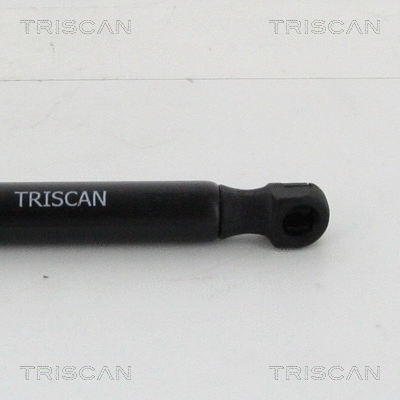 Gas Spring, boot/cargo area