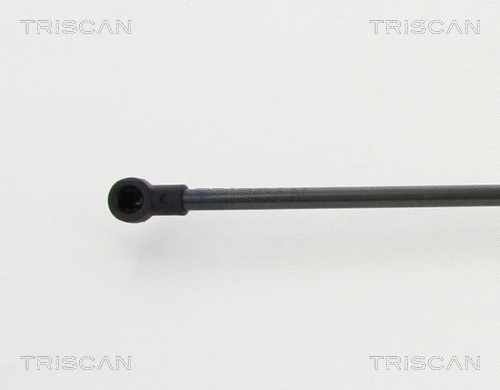 Gas Spring, boot/cargo area